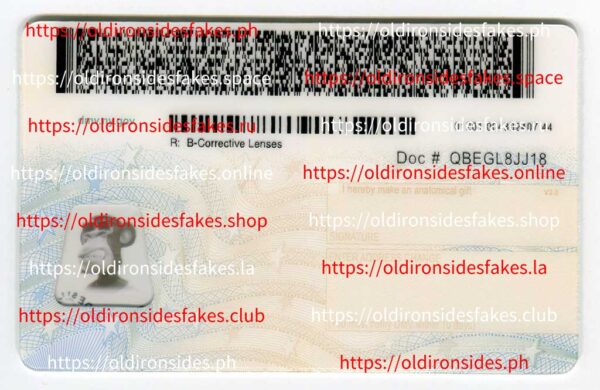 New York Driver License(NY O21 2020) - Image 3