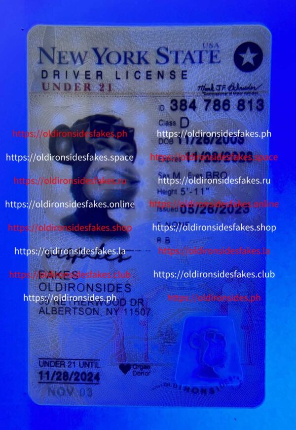 New York Driver License(NY U21 2020) - Image 3