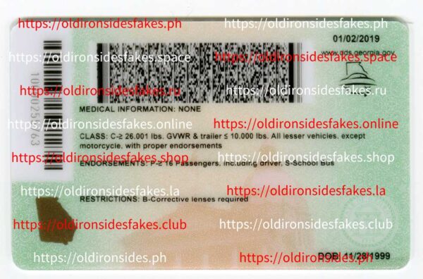 Georgia Driver License(New GA 2022 CDL PolyCard) - Image 2