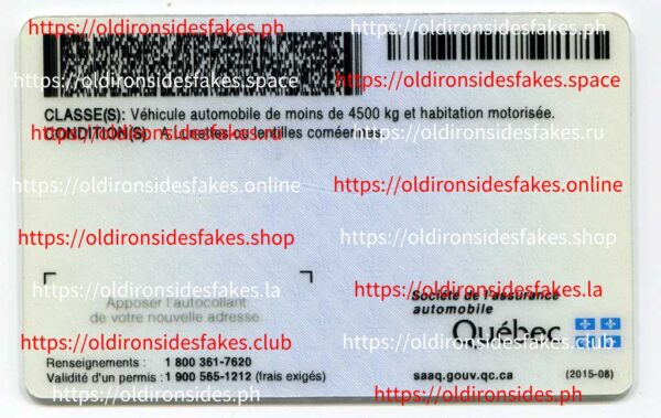CAN Quebec(CAN QC) - Image 2
