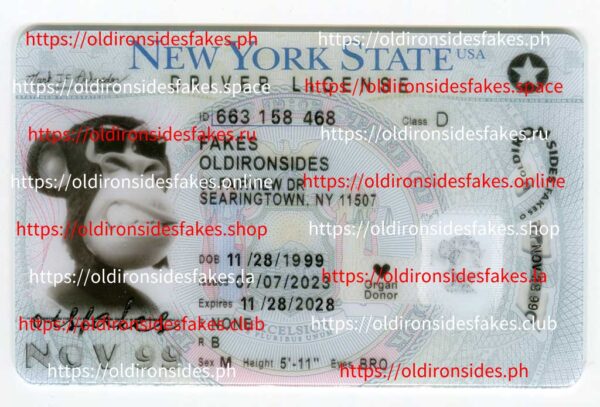 New York Driver License(New NY 2022 PolyCard)