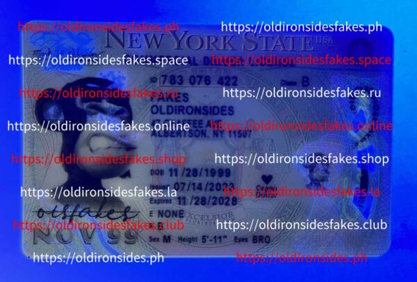 New York Driver License(New NY 2022 CDL PolyCard) - Image 3