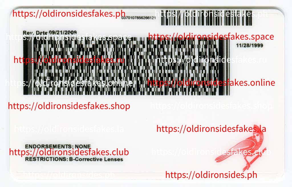 Indiana Driver License(Old IN) - Image 2