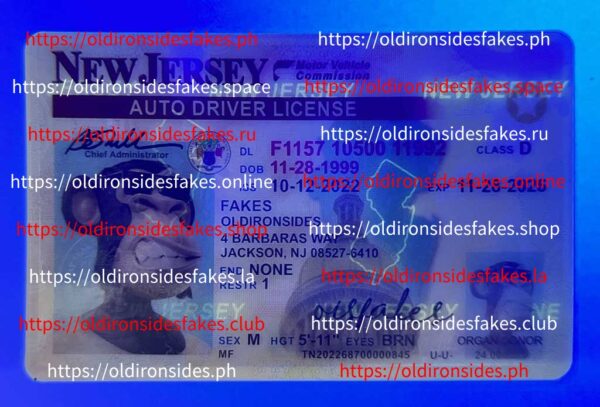 New Jersey Driver License(NJ) - Image 3