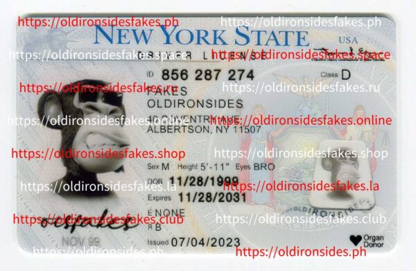 New York Driver License(NY O21 V3)