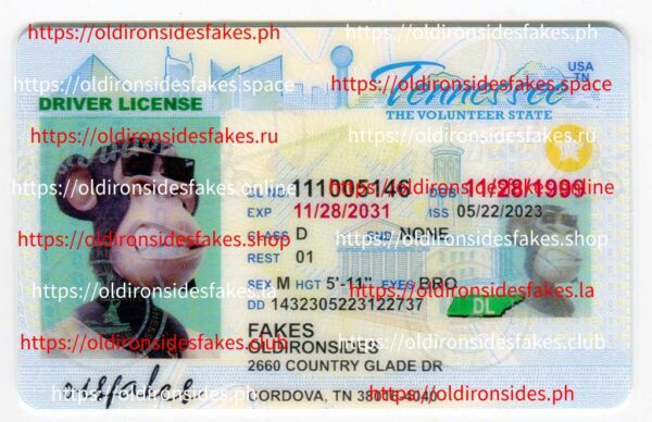 Tennessee Driver License(TN O21)