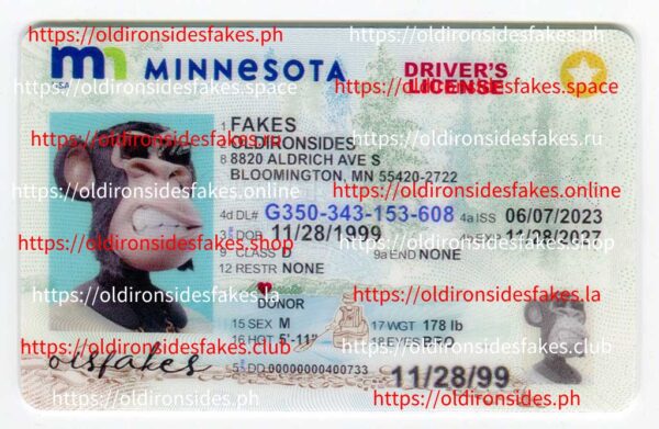 Minnesota Driver License(New MN)