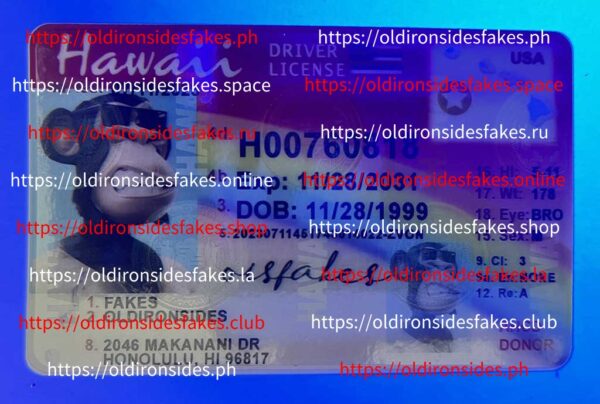 Hawaii Driver License(HI) - Image 3