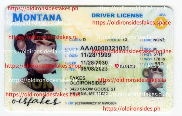 Montana Driver License(MT)