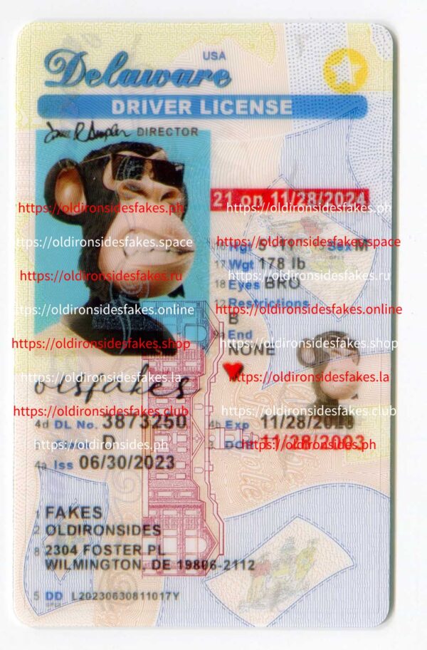 Delaware Driver License(New DE U21)