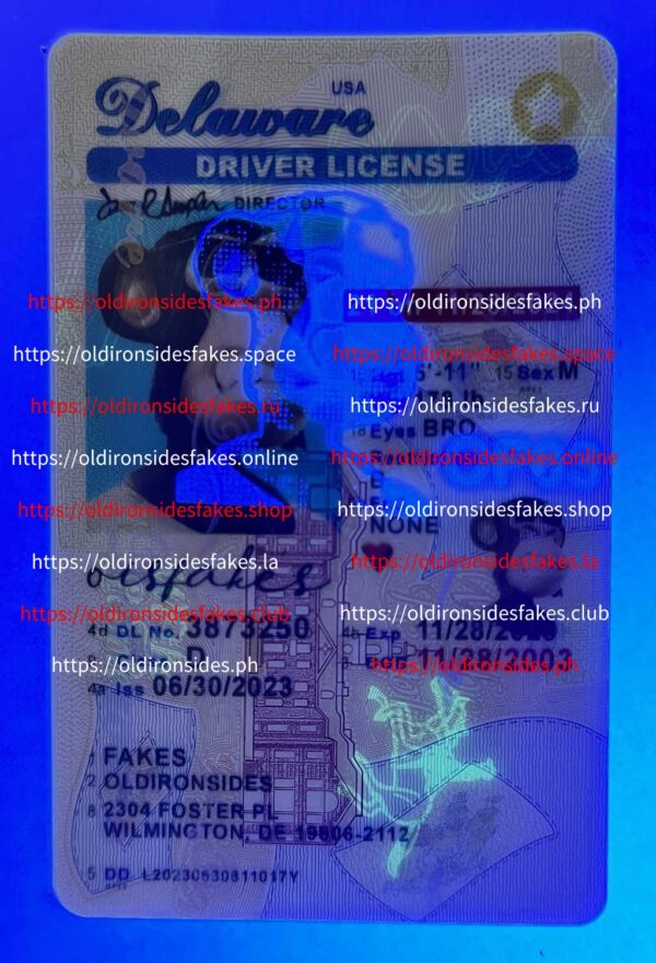 Delaware Driver License(New DE U21) - Image 3