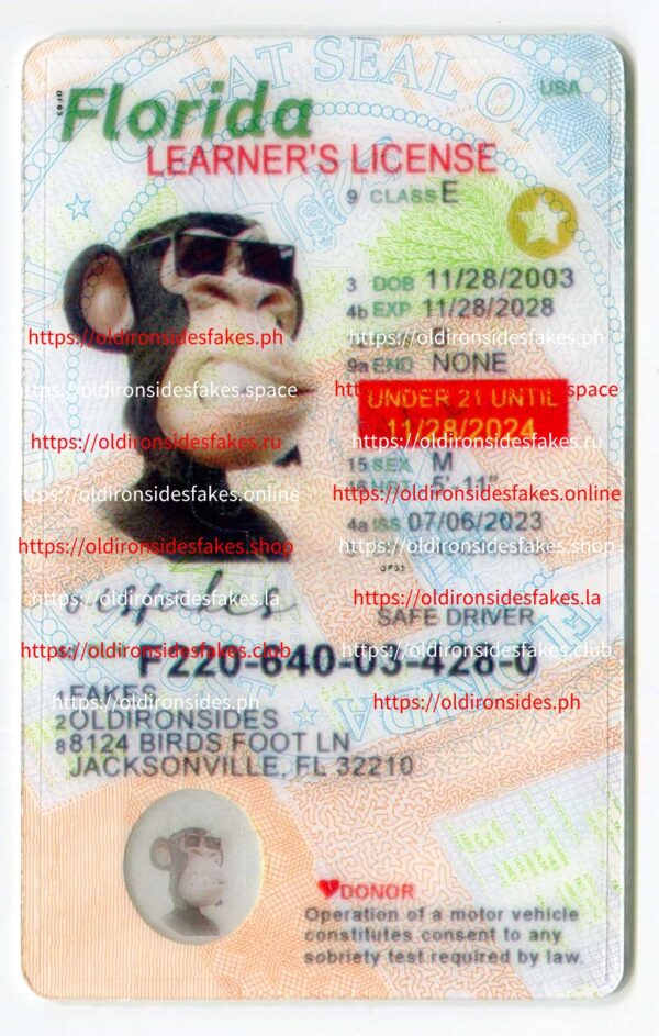 Florida Driver License(New FL U21 LEARNER)