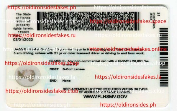Florida Driver License(New FL U21 DRIVER V2) - Image 2
