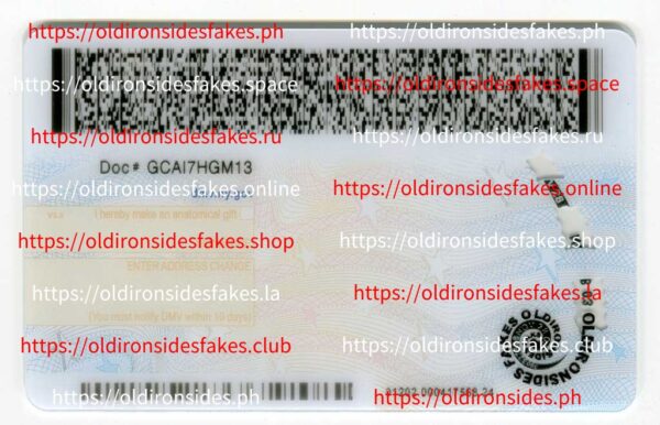 New York Driver License(New NY U21 2022 PolyCard) - Image 2