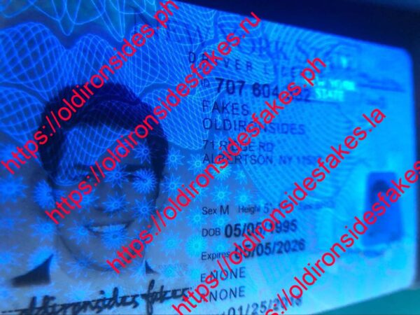 New York Driver License(NY O21 V3) - Image 6