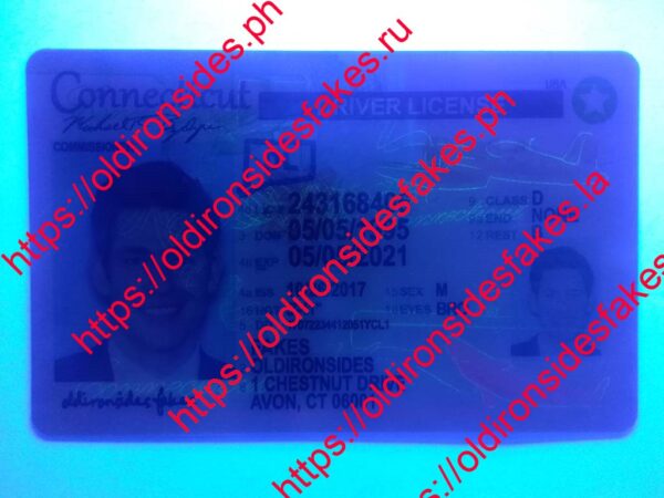 Connecticut Driver License(New CT) - Image 6