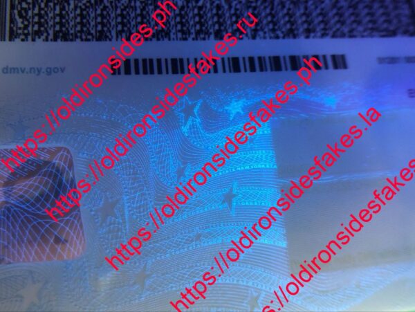 New York Driver License(NY O21 V3) - Image 5