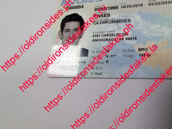 Alaska Driver License(AK) - Image 5