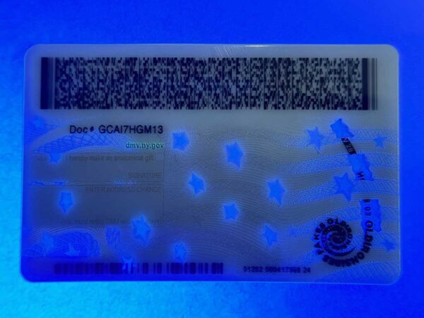 New York Driver License(New NY U21 2022 PolyCard) - Image 4